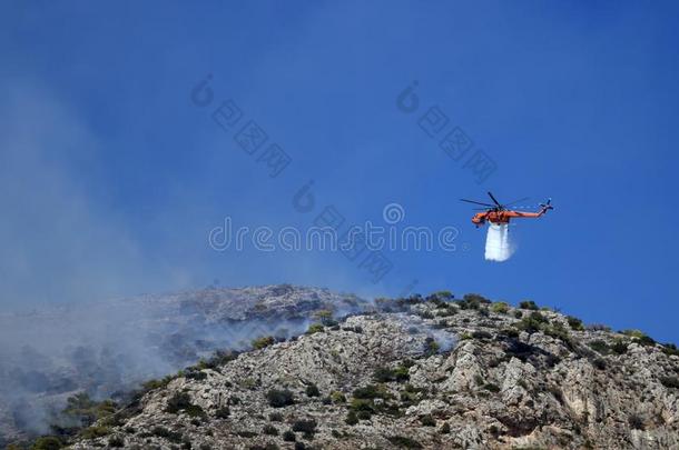 火直升机使<strong>熄灭</strong>指已提到的人火向指已提到的人山坡.希腊.