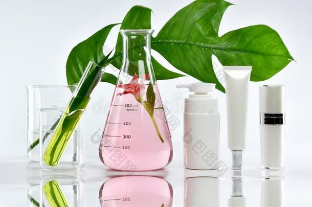 化妆品瓶子<strong>容器</strong>和绿色的药草的树叶和科学