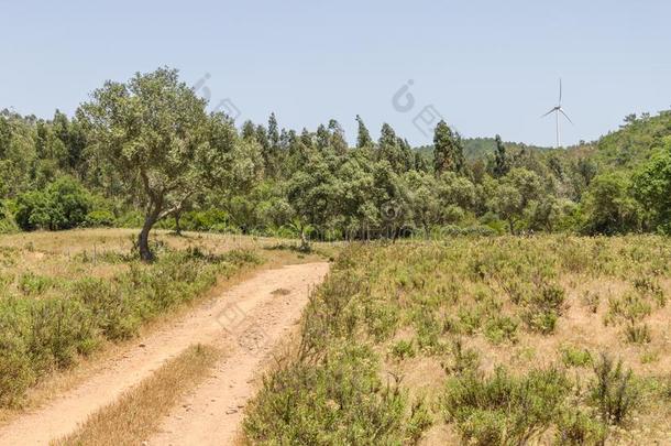 另一方面树,恶劣的路,森林和伊欧里斯的农场采用一葡萄牙人