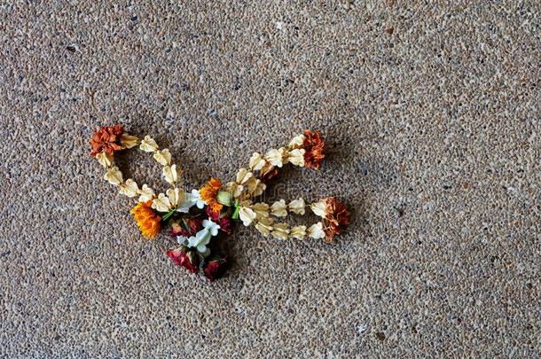 干燥的茉莉花环,ThaiAirwaysInternati向al泰航国际传统的干燥的茉莉花环向