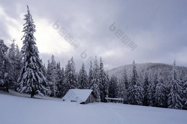 美丽的冬风景和小屋,下雪的山和在前部的
