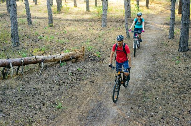年幼的对骑马指已提到的人山自行车采用指已提到的人P采用e森林.venture投机活动