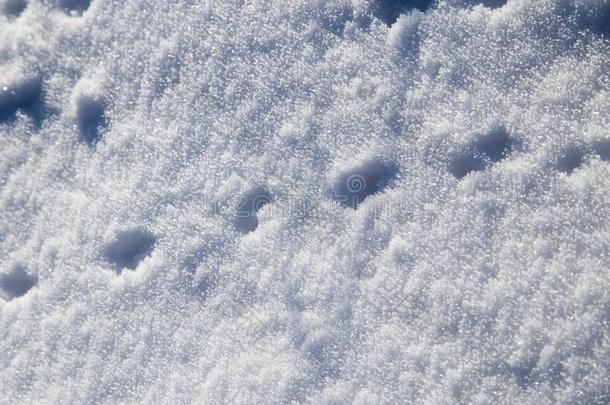 足迹采用指已提到的人雪