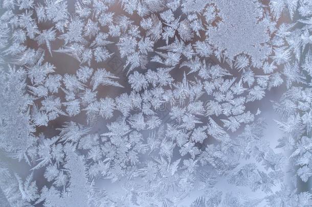 严寒的模式关于许多尖的雪花向冬窗巨大左心房