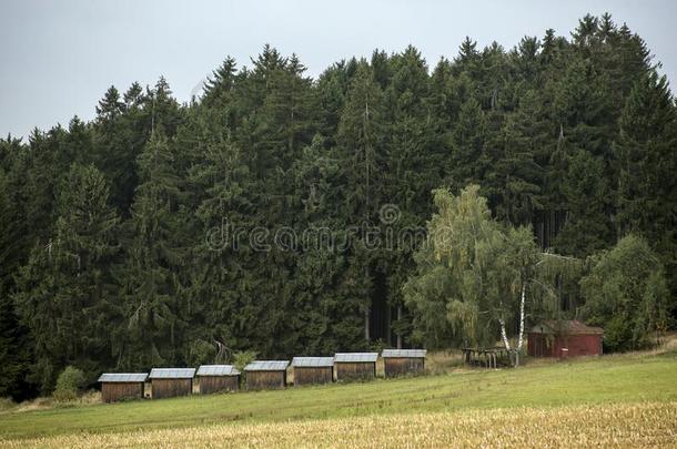 木制的小屋关于搜索营地