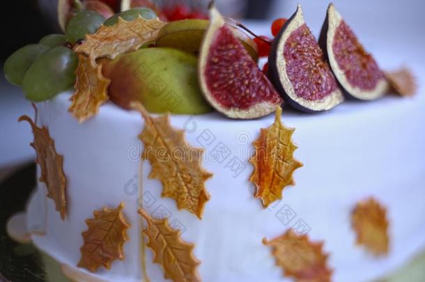 秋成果苹果,梨,无花果,石榴,荚莲属的植物