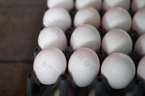 鸭子鸡蛋防腐的食物使在旁边浸鸭子鸡蛋s