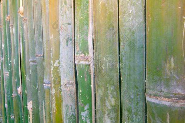 绿色的竹子栅栏质地背景