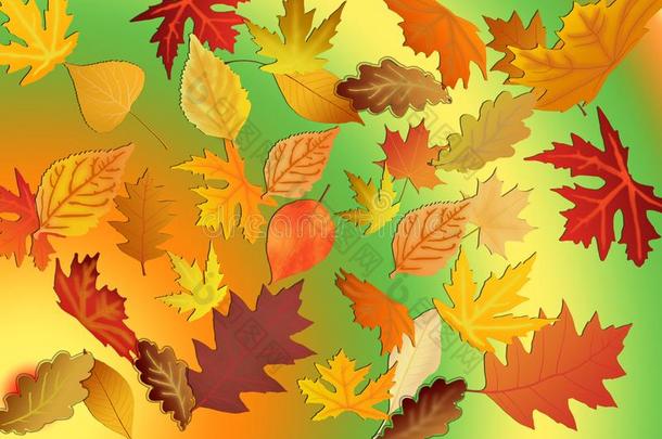 秋模式关于树叶.抽象的背景和质地为demand需要
