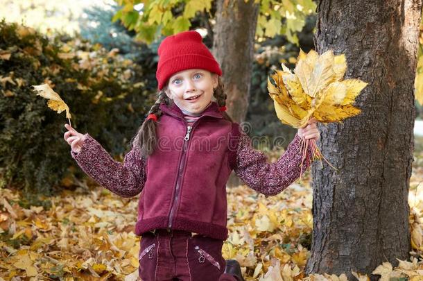 女孩所有乐趣一做面容采用秋森林,黄色的树叶一
