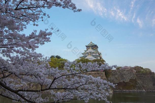 大阪城堡和樱花采用大阪