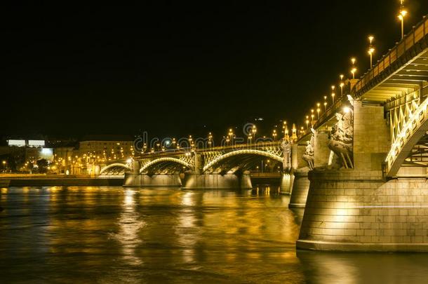 女子名桥在旁边夜采用布达佩斯