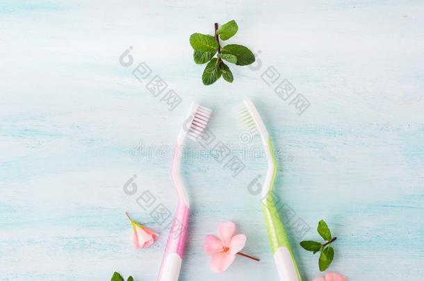牙齿的卫生观念.牙刷,花,薄荷