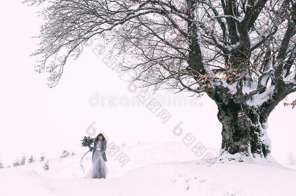 美丽的冬肖像关于年幼的女人采用指已提到的人冬下雪的sisterchromatidexchange姐妹染色单体<strong>互换</strong>