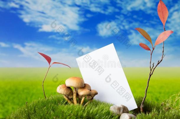 商业卡片和蘑菇和植物向指已提到的人壁画草地