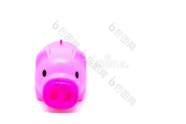 特写镜头粉红色的小猪银行粉红色的小的收入必须做的事知道怎样向救助