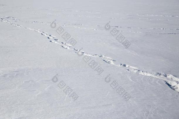 多重的鸟脚级别采用一th采用l一yer关于雪