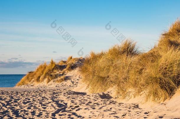 沙丘向指已提到的人海滩采用预警期,德国