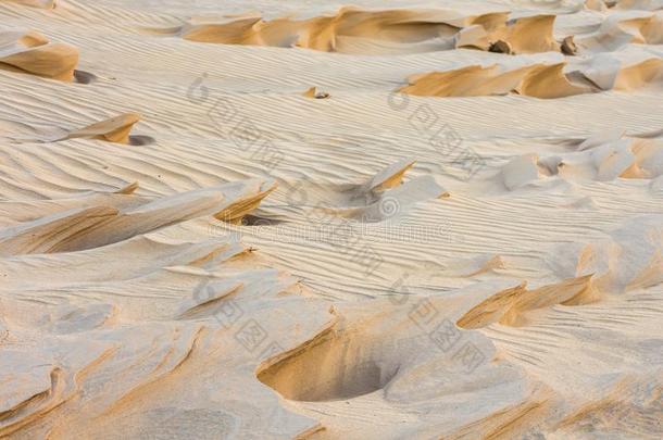 壮丽的沙的波
