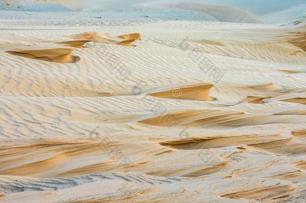 壮丽的沙的波