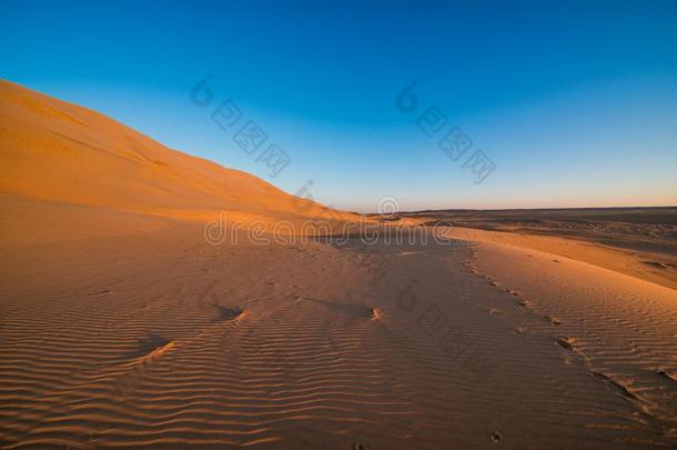 壮丽的沙的波向沙丘采用沙漠