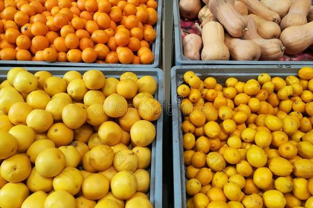 橙,柠檬,葡萄柚和南瓜