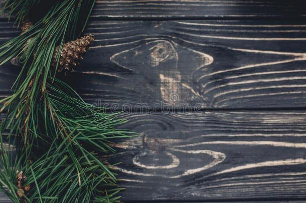 圣诞节树树枝框架和松树圆锥细胞向乡村的后台