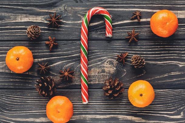 圣诞节有条纹的糖果棒棒糖和柑橘和茴芹松树
