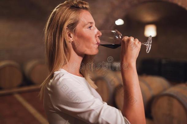 美丽的女人<strong>酒类</strong>学家尝味葡萄酒