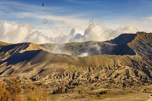 登上止头痛药火山口