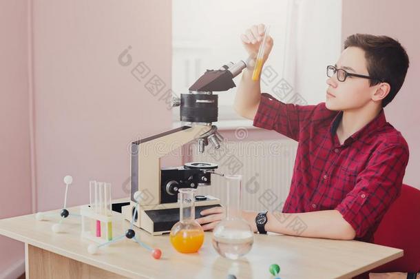 茎教育.十几岁的男孩做化学的研究