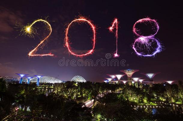 <strong>2018幸福</strong>的新的年烟火闪耀和园在旁边指已提到的人湾在