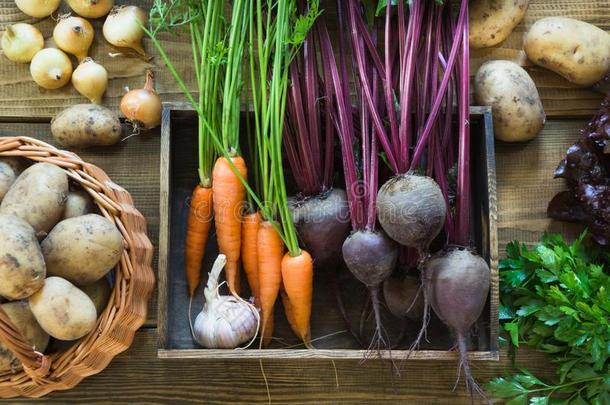 新鲜的蔬菜从胡萝卜,甜菜根,洋葱,大蒜,马铃薯采用
