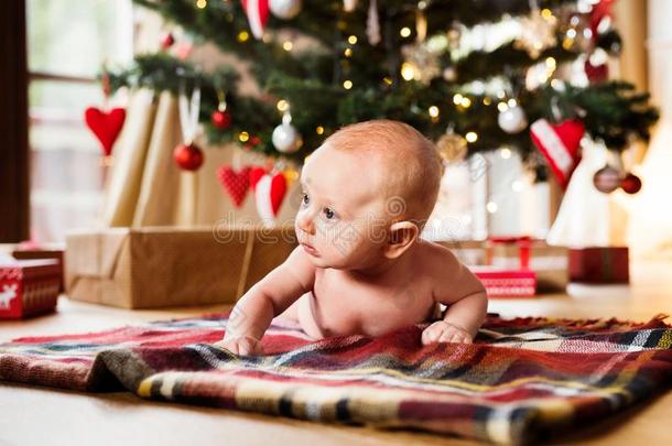 小的婴儿<strong>男孩</strong>说谎在下面圣诞节树向方格<strong>图案</strong>的毛毯