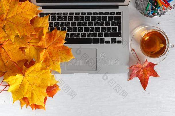 笔记簿,便携式电脑,花和秋树叶.顶看法向白色的英语字母表的第2个字母