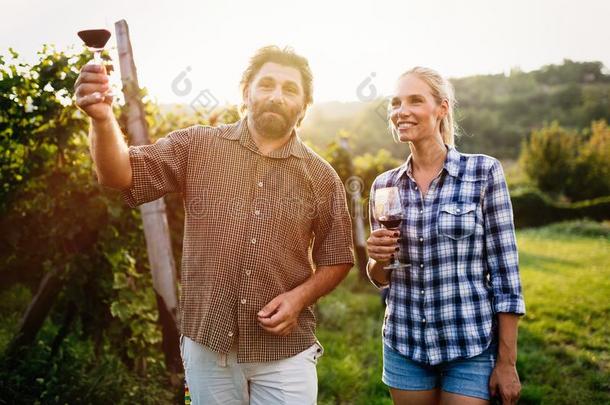 栽培葡萄兼葡萄酒酿造者家庭尝味葡萄酒