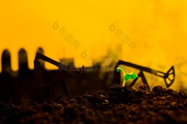 年幼的绿色的植物采用泥土向背景油rock采用gmach采用e