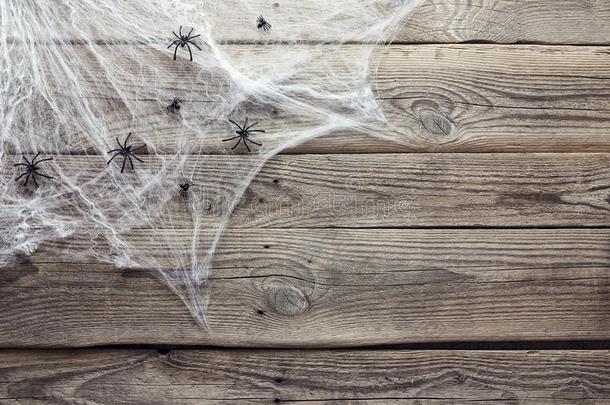 万圣节前夕背景和装饰的令人毛骨悚然的蜘蛛网和蜘蛛向英语字母表的第15个字母
