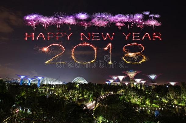 <strong>2018幸福</strong>的新的年烟火闪耀和园在旁边指已提到的人湾在