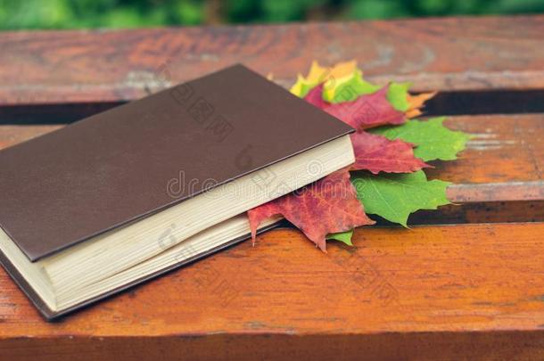 一书和树叶植入的采用它谎言向一长凳采用指已提到的人p一rk采用