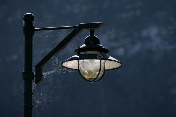 初期铁器时代的,萨尔茨卡默古特/奥地利-九月14:蜘蛛蜘蛛网一