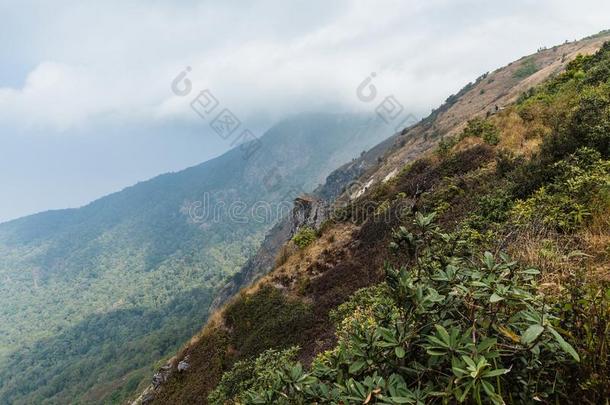 山和金色的草一起指已提到的人道路和老的记录栅栏和