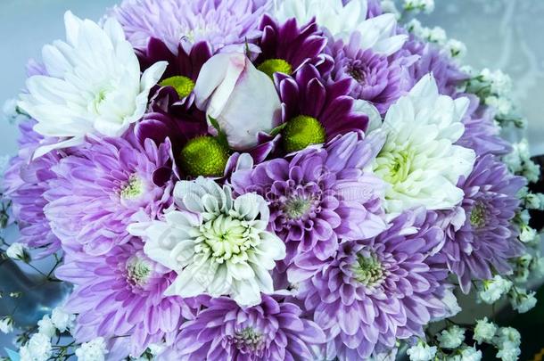 <strong>紫色</strong>的和白色的<strong>花朵</strong>花束关于菊花花奥罗西