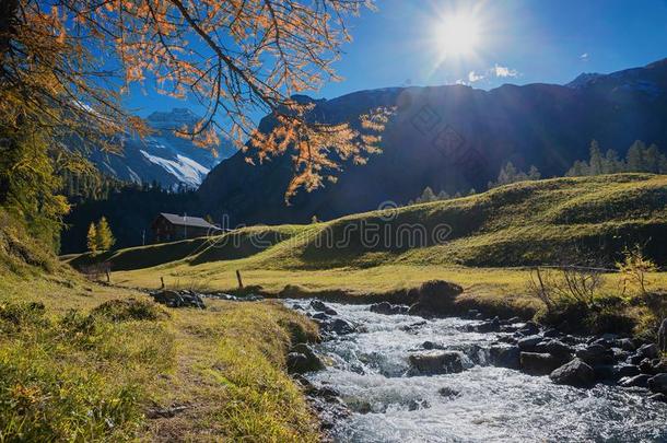 田园诗般的小路不中小的容忍采用秋的来自瑞士的风景