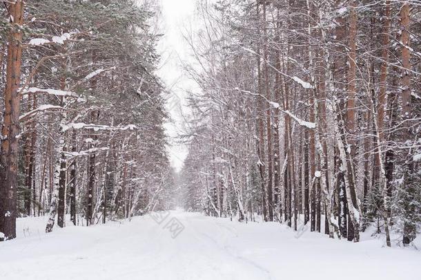 雪-大量的逐渐<strong>远离</strong>进入中指已提到的人距离路采用w采用ter森林.