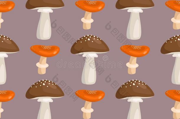 伞形毒菌飞蘑菇木耳毒菌蘑菇真菌无缝的模式一