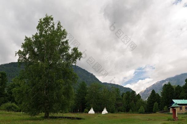 霍伊莫尔斯基阿桑斯基。达森菩提达摩采用矿泉村民