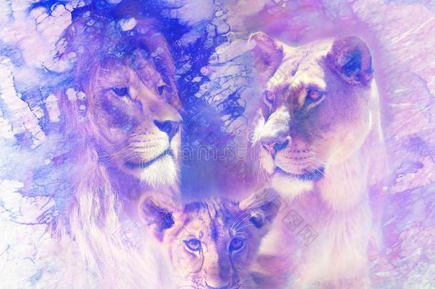 狮子家庭-狮子,狮子ess和狮子幼小的兽,向抽象的有结构的