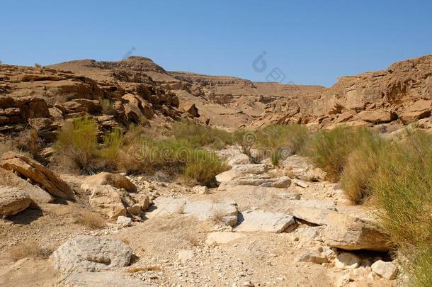 干<strong>的</strong>干燥<strong>的干涸</strong>河道采用内盖夫沙漠.