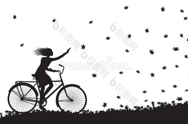 秋来,女孩骑马向指已提到的人自行车和秋树叶法林